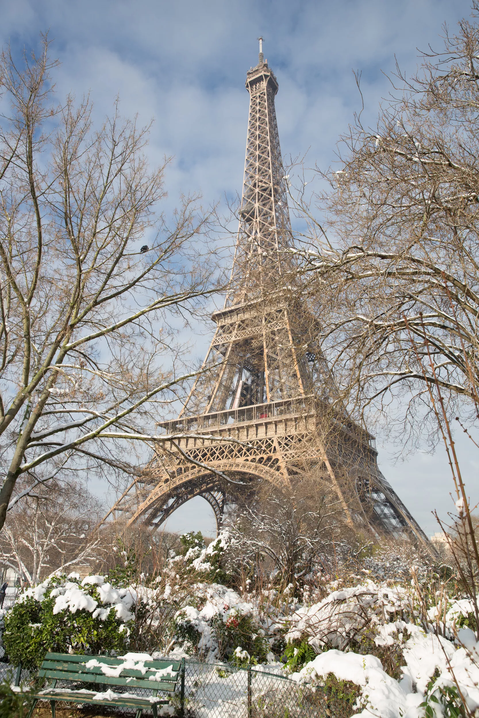 The elegance of Paris at the core of your web address.